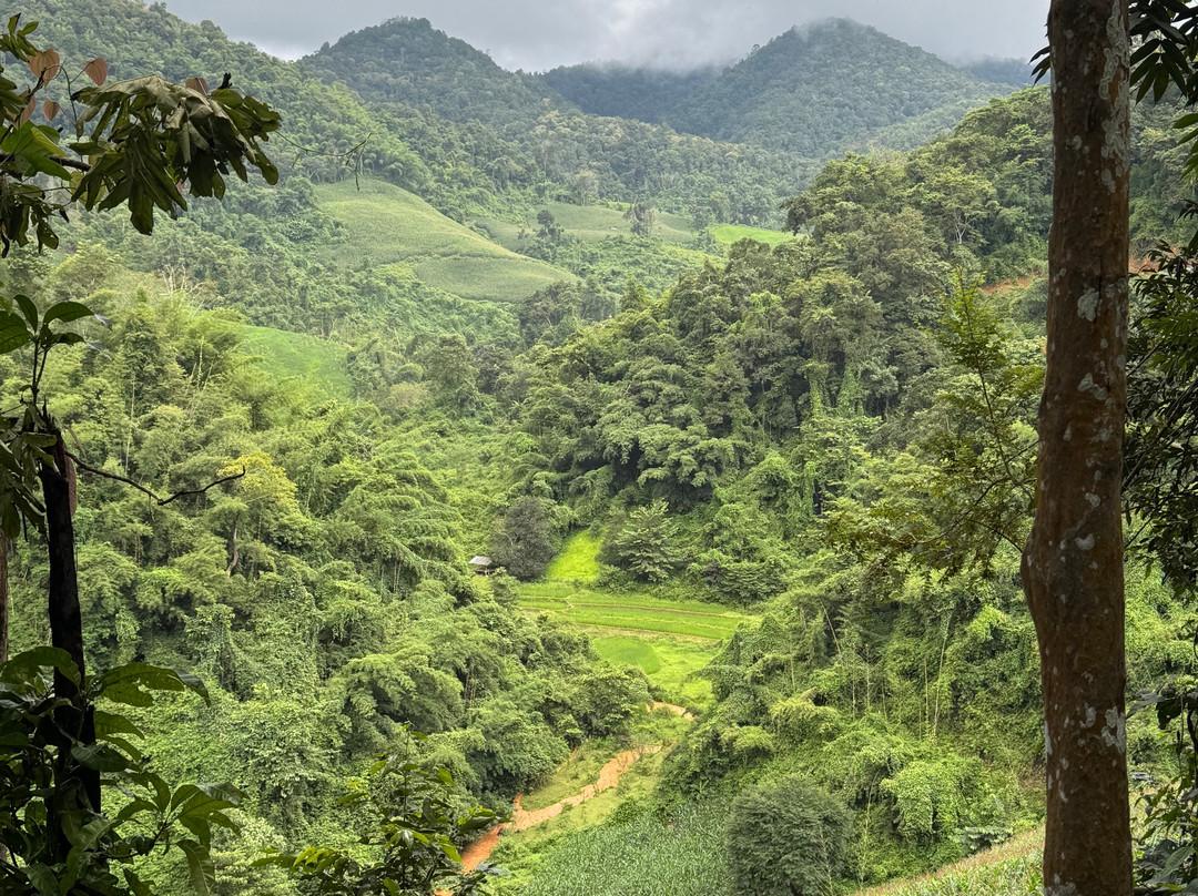 Mike's Authentic Trekking-清迈必去景点