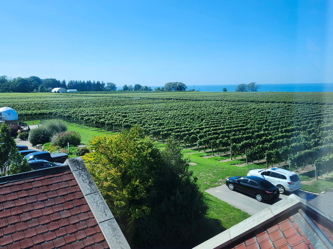 Konzelmann Estate Winery-滨湖尼亚加拉必去景点