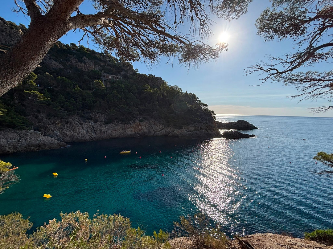 Camping Cala Pola