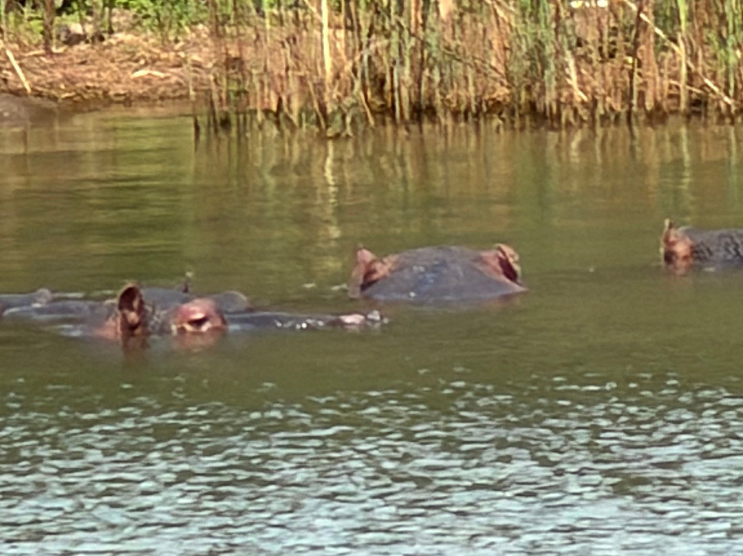 Blyde River Canyon Nature Reserve-普马兰加省必去景点