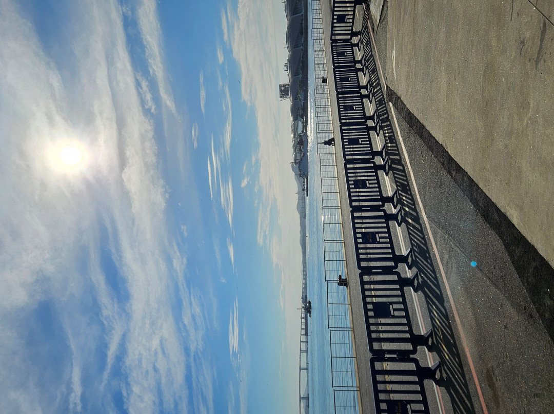 Pier Mauá-里约热内卢必去景点