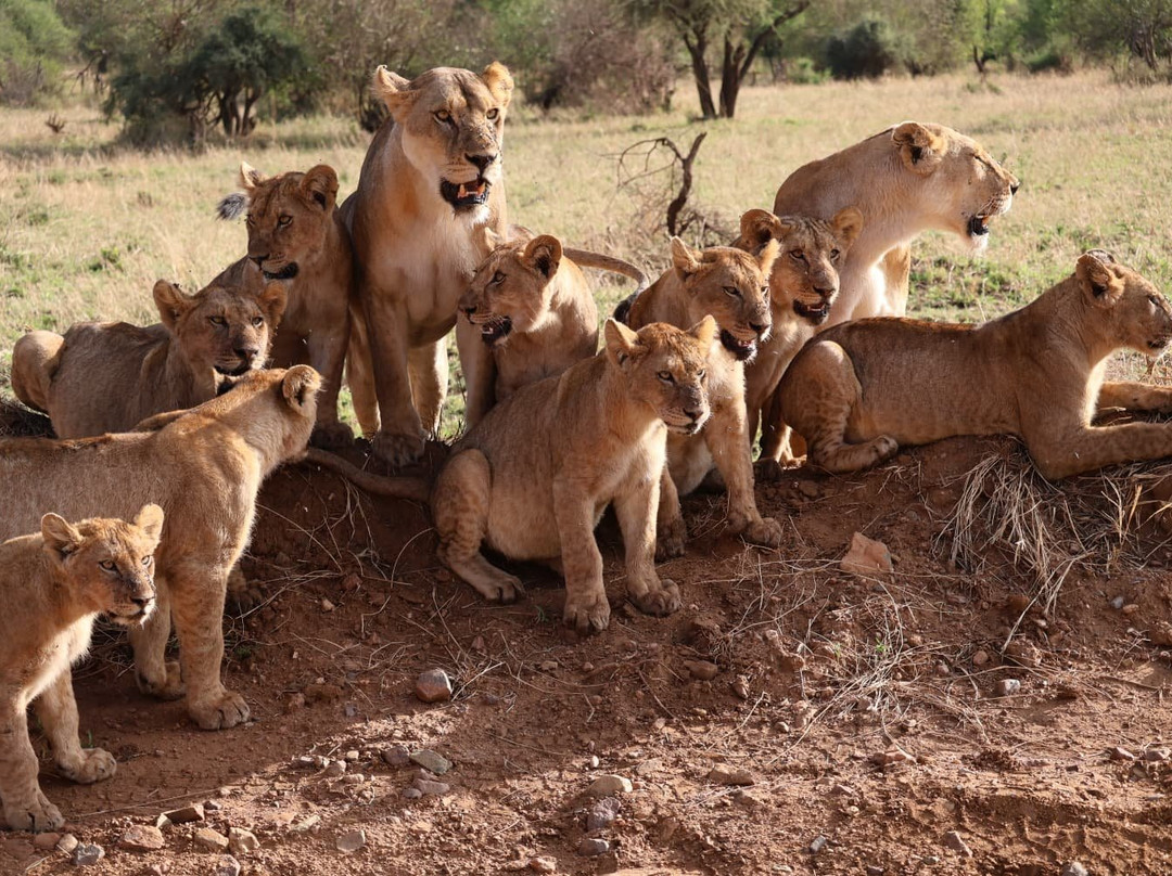 Sereland Africa Safaris-Sakina必去景点