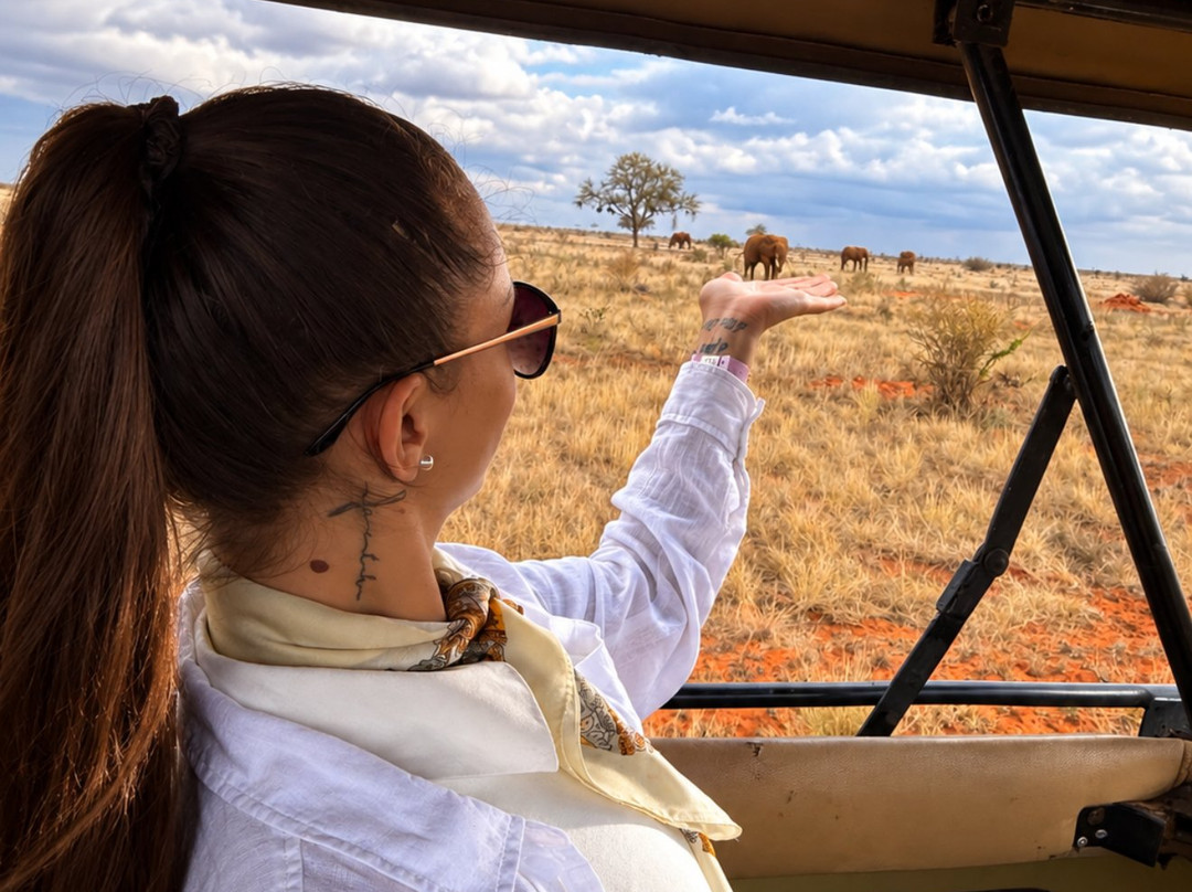 Luchiano Tours and Safaris-迪亚尼必去景点