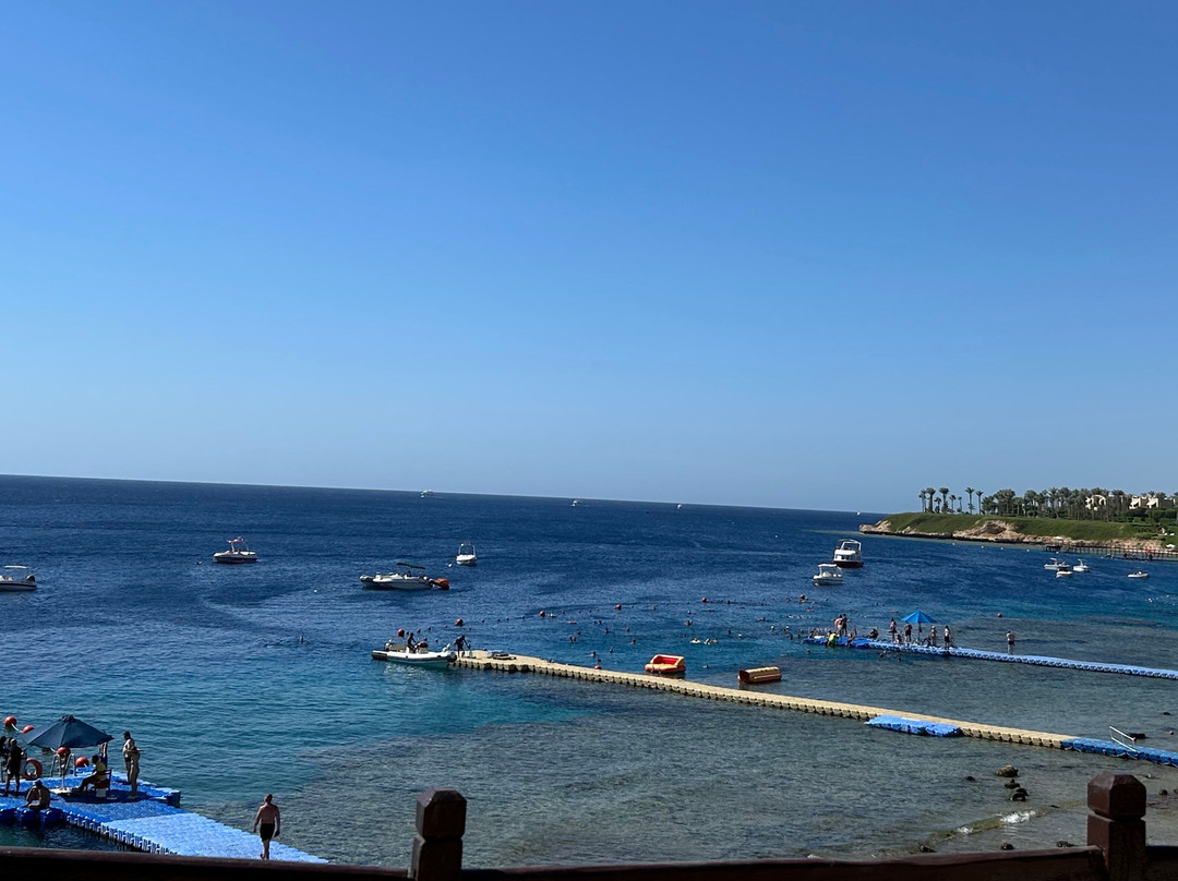 Shark's Bay Beach-沙姆沙伊赫必去景点