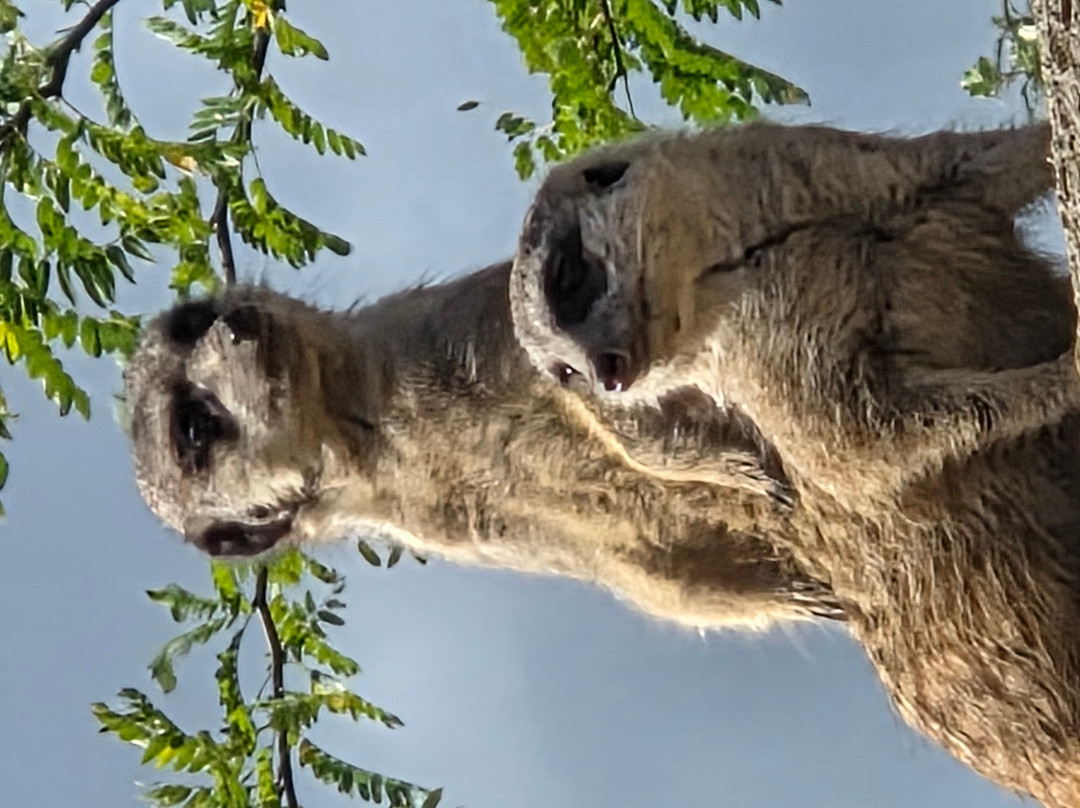 Wildlands Adventure Zoo Emmen-Emmen必去景点