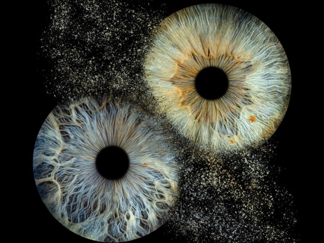 Iris Galerie Arnhem-阿纳姆必去景点