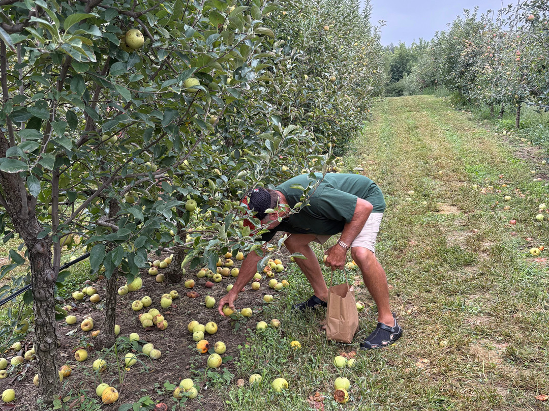 Cider Hill Family Orchard-堪萨斯城必去景点