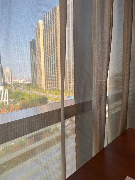 大连辉盛阁国际酒店公寓-旅行者