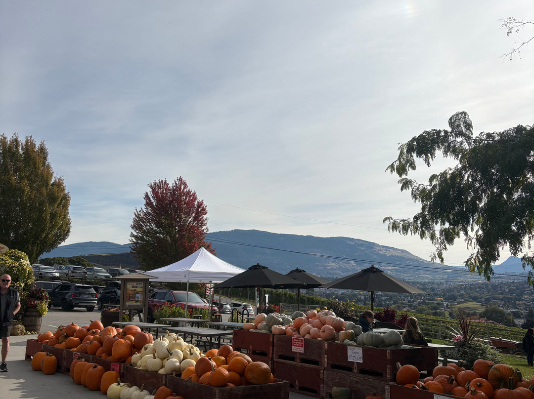 Davison Orchards Country Village-弗农必去景点