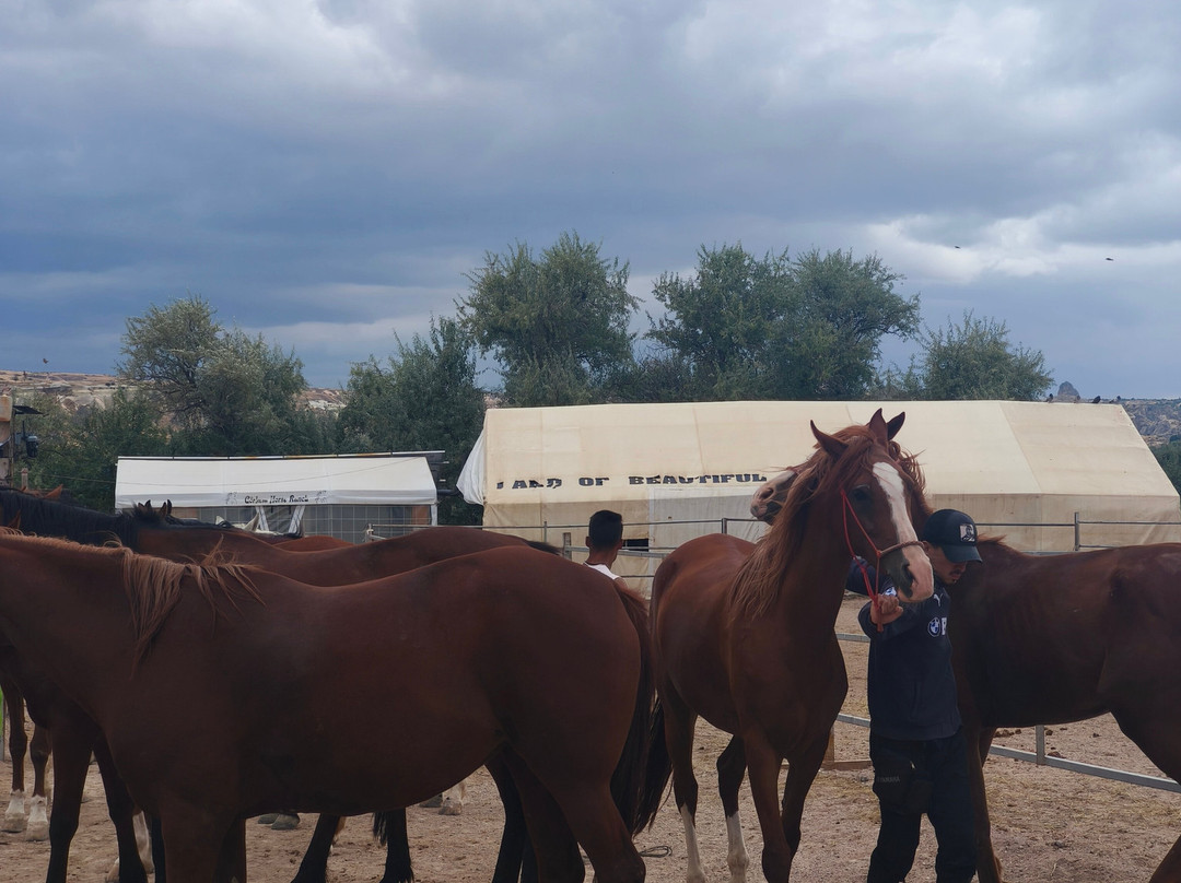 Gorkem Horse Ranch-卡帕多细亚必去景点