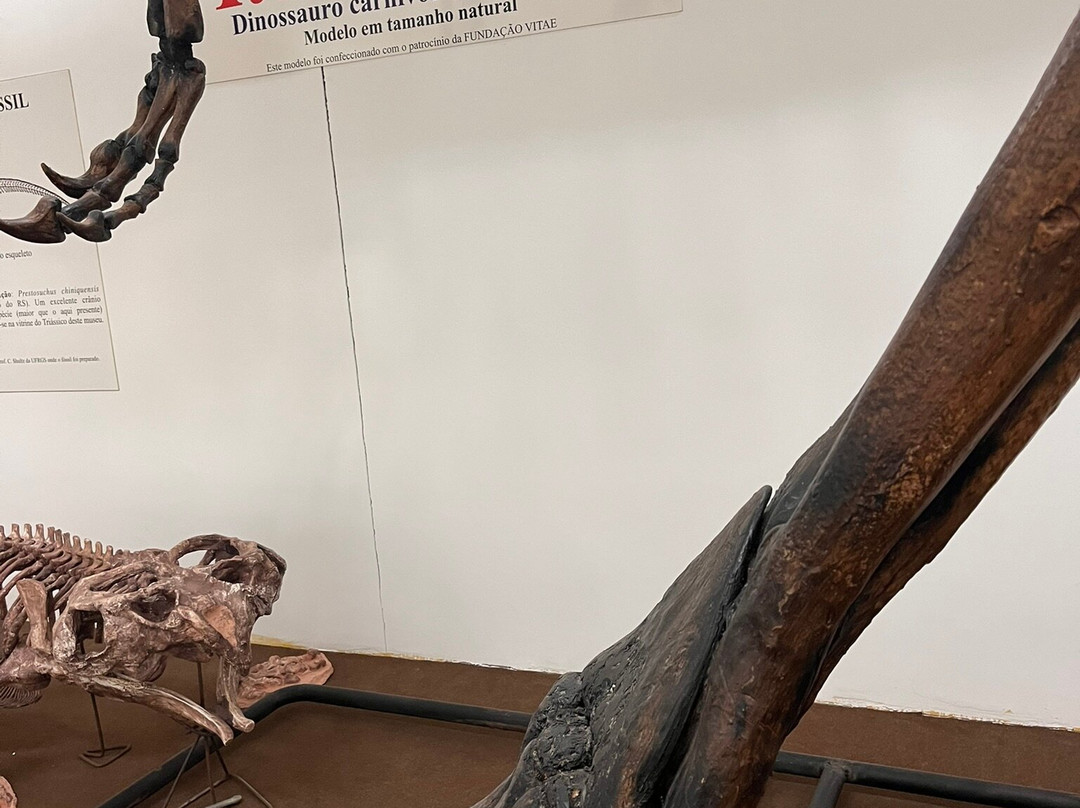 Museu De História Natural de Taubaté-陶巴特必去景点