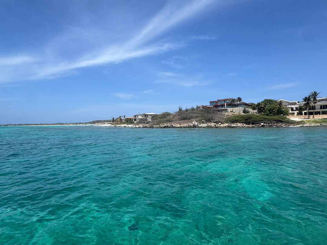 Private Snorkeling Aruba-棕榈/鹰海滩必去景点