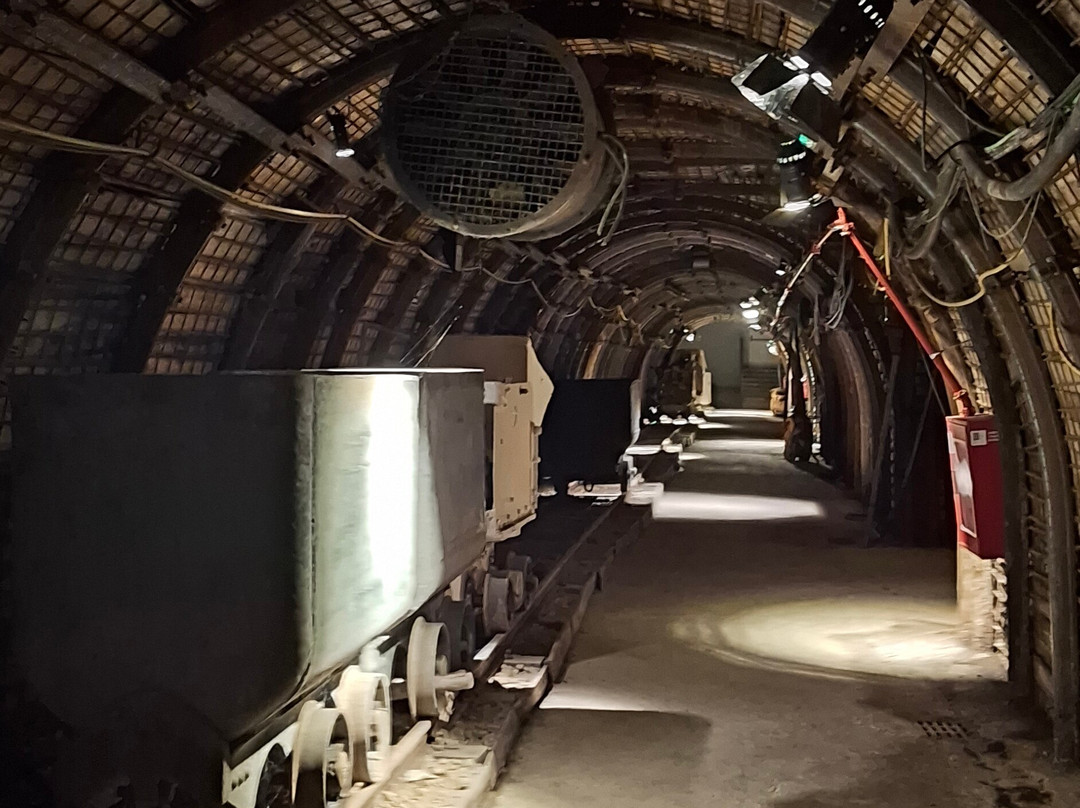 Museo de la Minería y el Carbonífero de Puertollano-Puertollano必去景点