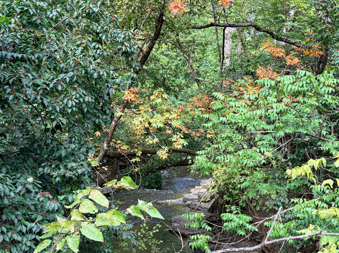 Indian Run Falls-都柏林必去景点