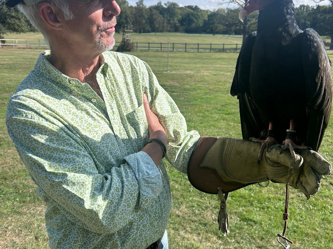 Surrey Hills Falconry-Ockley必去景点