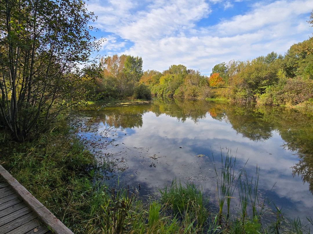 River's Edge Park-Columbia Falls必去景点
