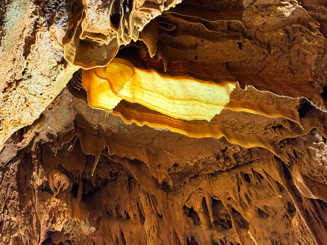 Shenandoah Caverns-Quicksburg必去景点