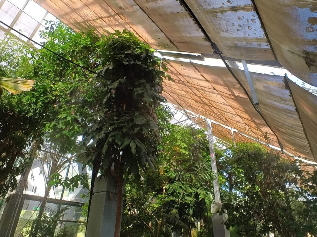 St Kilda Botanical Gardens-圣基尔达必去景点