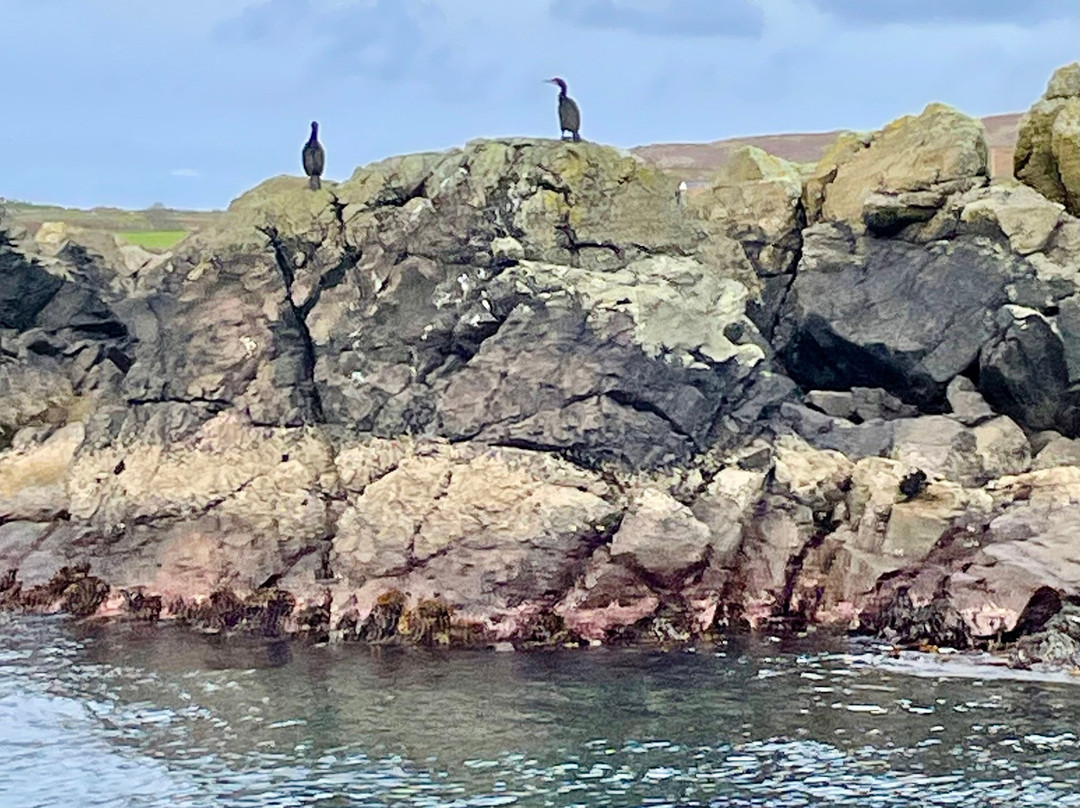Islay Sea Adventures-Port Ellen必去景点