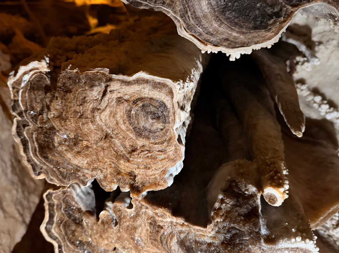 Lehman Caves-Great Basin National Park必去景点