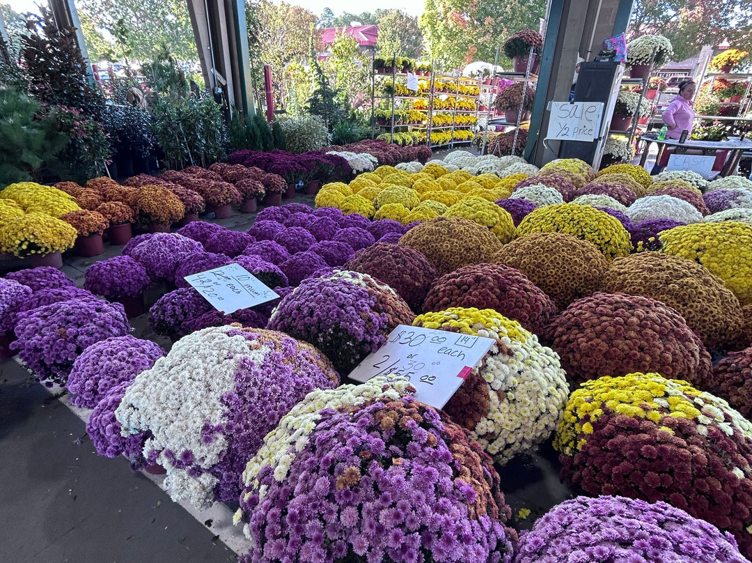 State Farmers Market-罗利必去景点