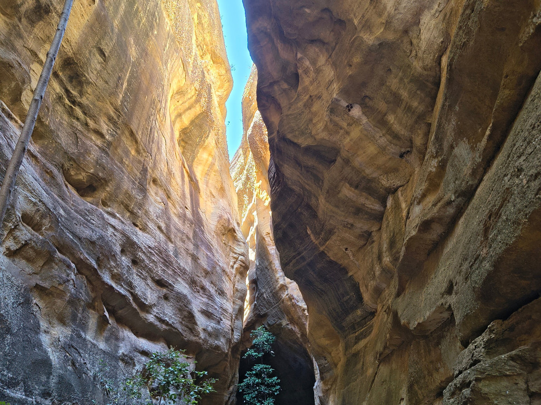 卡皮瓦拉山国家公园-Serra da Capivara National Park必去景点
