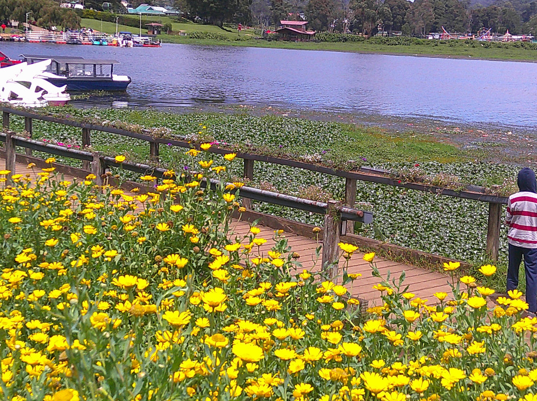 Compass Lanka Tours-Yakkala必去景点