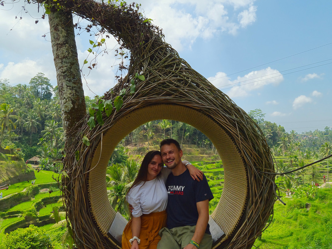 Best Ubud Driver-乌布必去景点