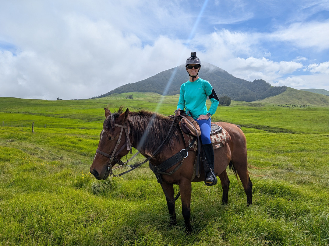 Na'alapa Stables - Kahua Ranch-卡慕也拉必去景点