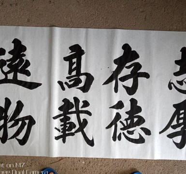 横县旅游攻略图片