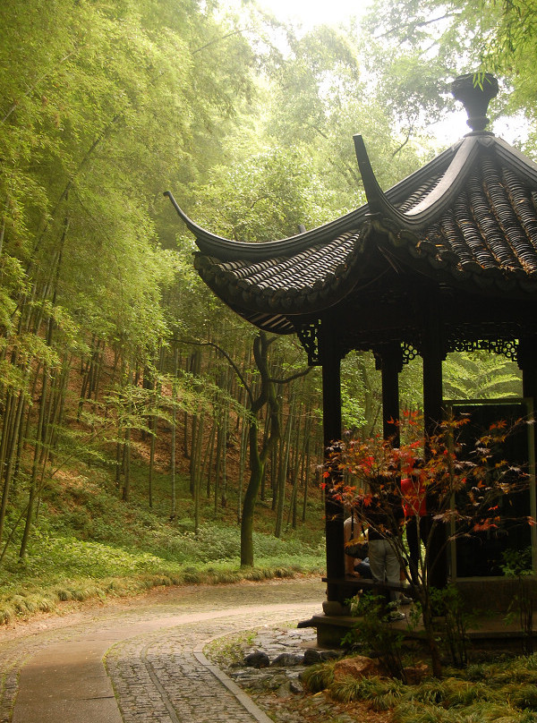 云栖竹径-杭州市必去景点