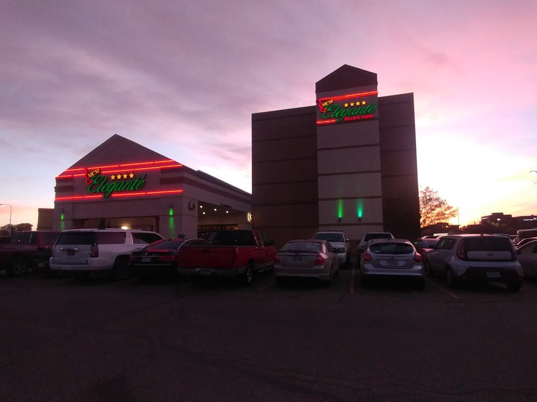 Idalou酒店住宿-MCM Elegante Hotel & Suites