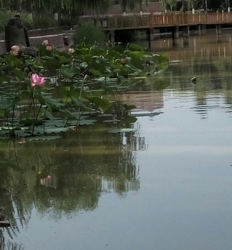 呼图壁公园-呼图壁县必去景点