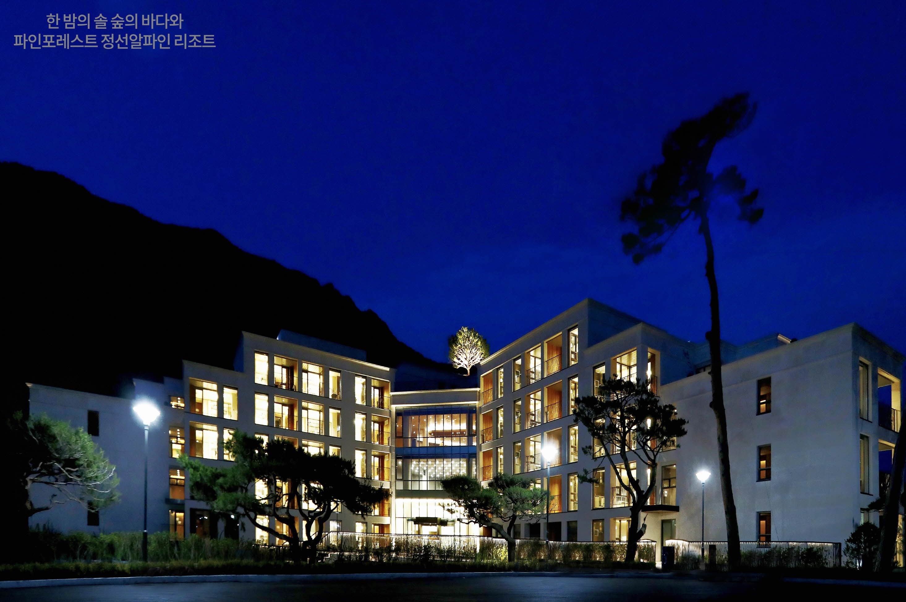 Pine Forest Jeongseon Alpine Resort-官方