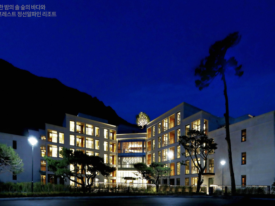 平昌郡酒店住宿-Pine Forest Jeongseon Alpine Resort
