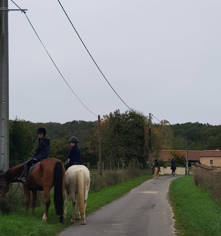 Riding Club and Pony Club Forest Moulière景点图片