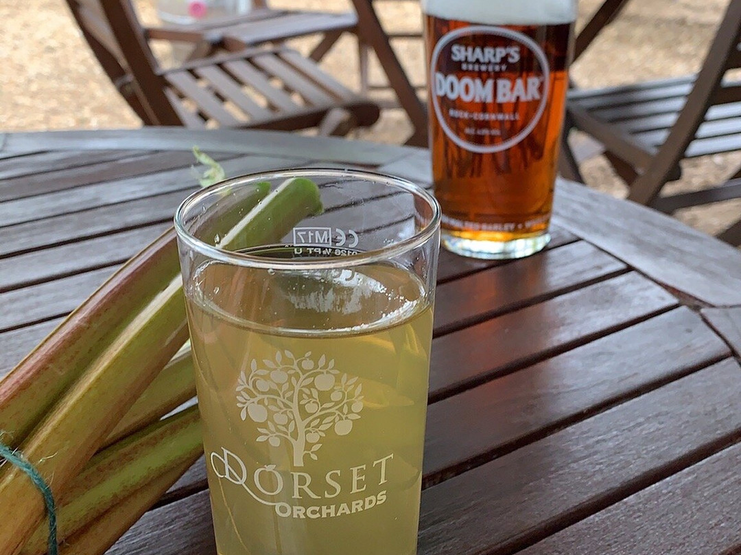 The Vine Inn-Wimborne Minster必去景点