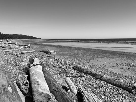 Jungle Beach-Skidegate必去景点