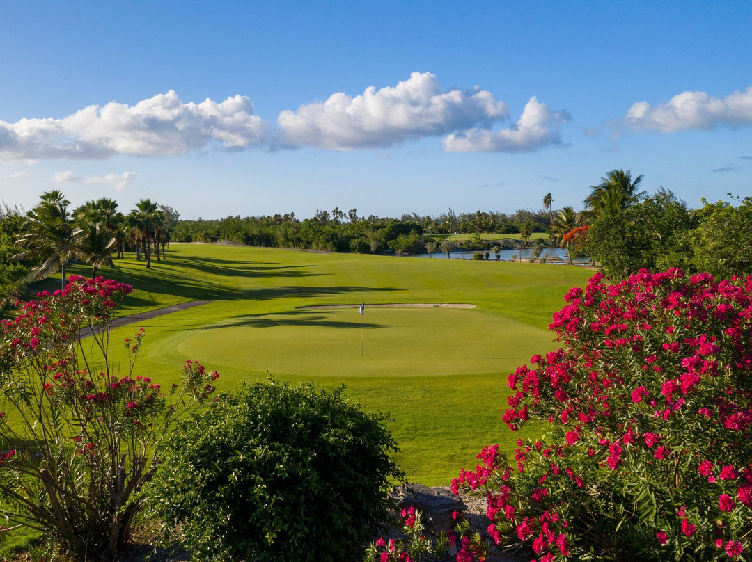 Royal Turks And Caicos Golf Club-格雷斯湾必去景点