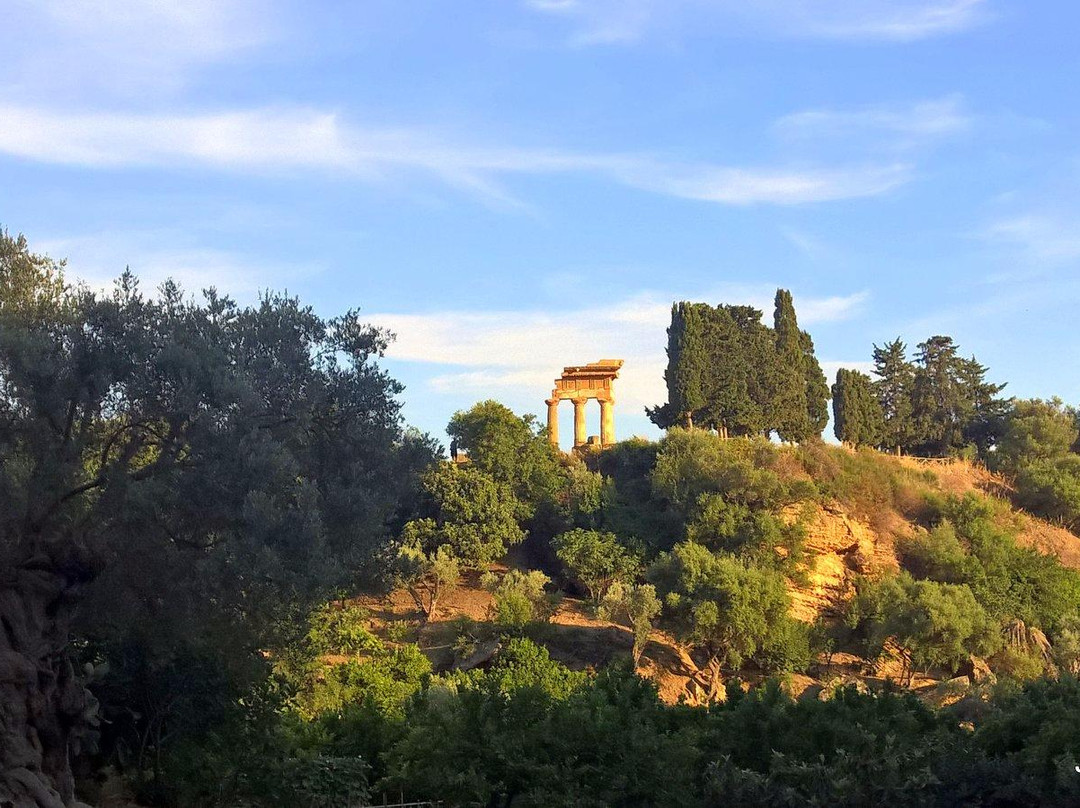 Giardino della Kolymbethra景点图片