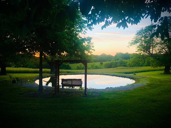 Marydale Inn Bed & Breakfast主图