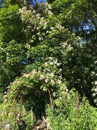 Judith Queree's Garden-St. Ouen必去景点
