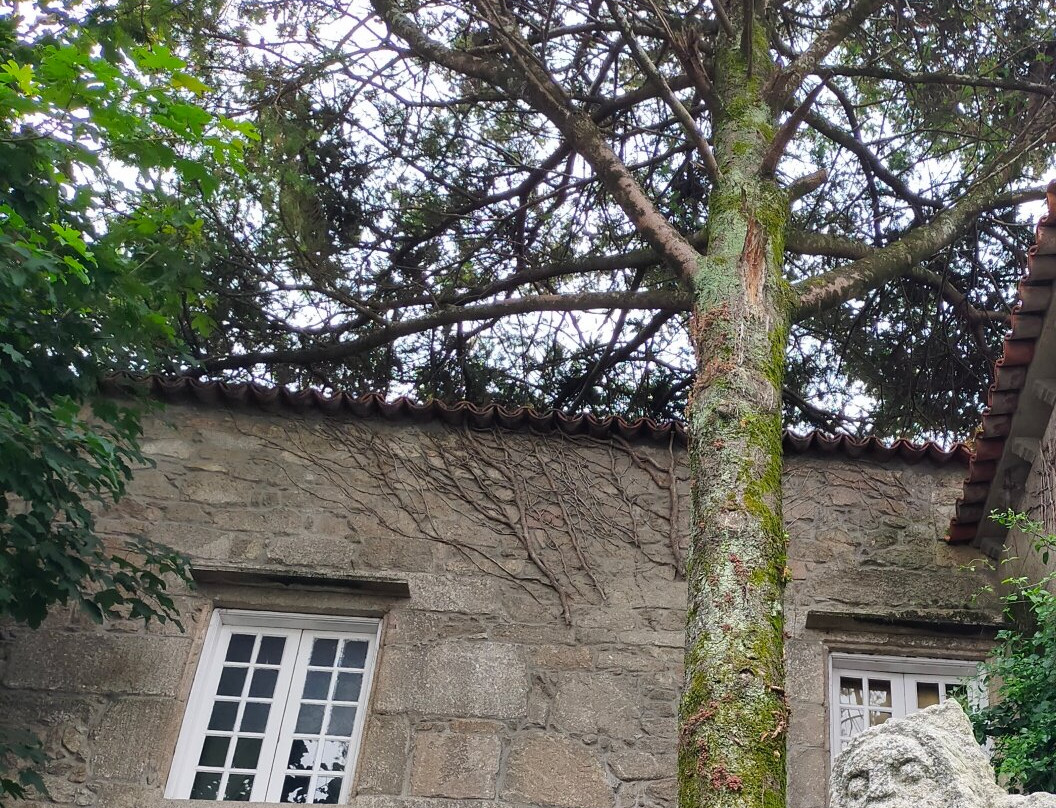 Casa Histórica de Cambados-Cambados必去景点