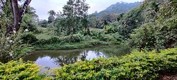 Casa Coorg Homestay主图