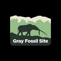Gray Fossil Site-Gray必去景点