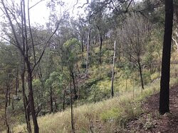 Mount Baldy- 阿瑟顿必去景点