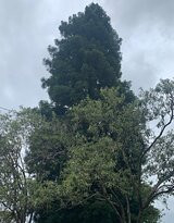 Igreja Matriz São José-Cambará do Sul必去景点