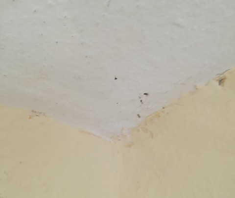 Hotel & Restaurant Nordstern主图