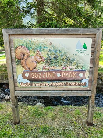 Sozzine Park景点图片