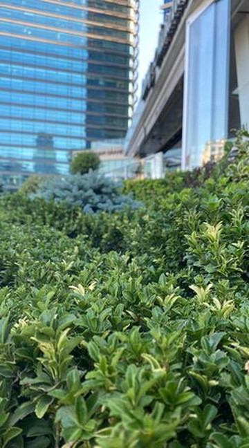 ÖzdilekPark İstanbul-伊斯坦布尔必去景点